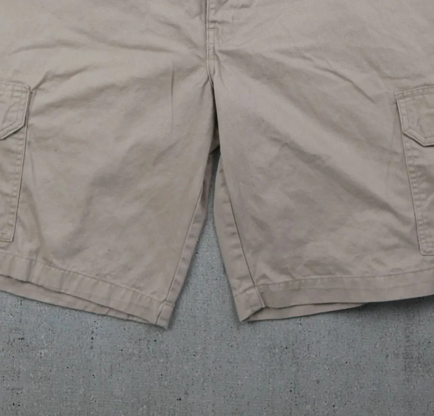 Dickies Shorts (34)