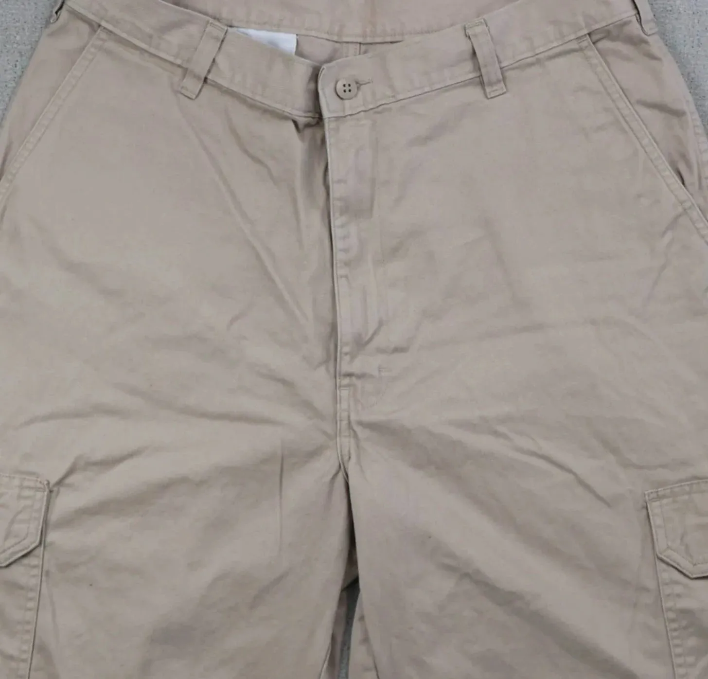 Dickies Shorts (34)