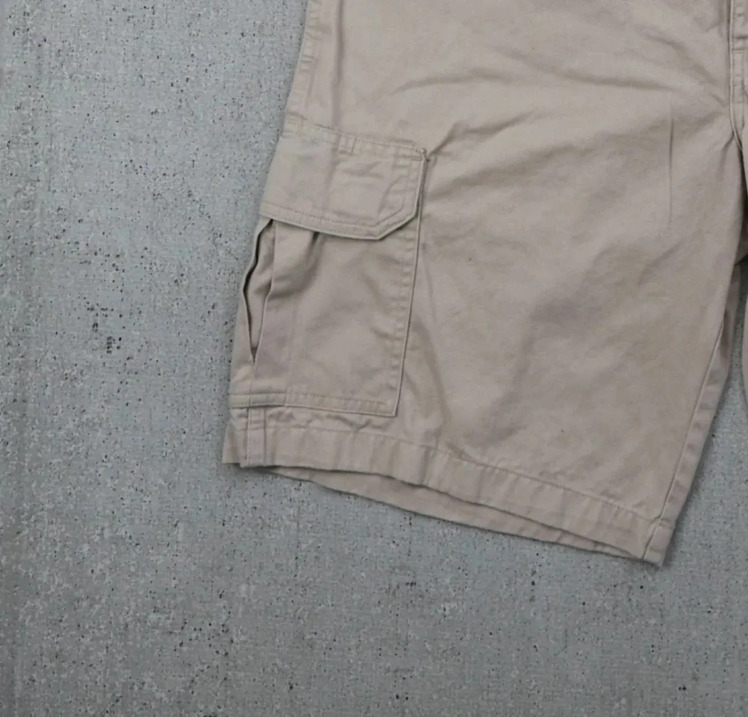 Dickies Shorts (34)