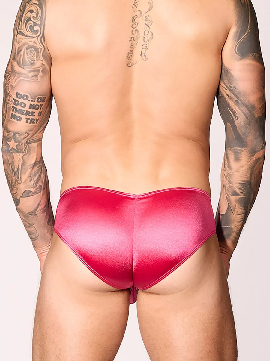 Stylish Luxe Satin Greek God Brief